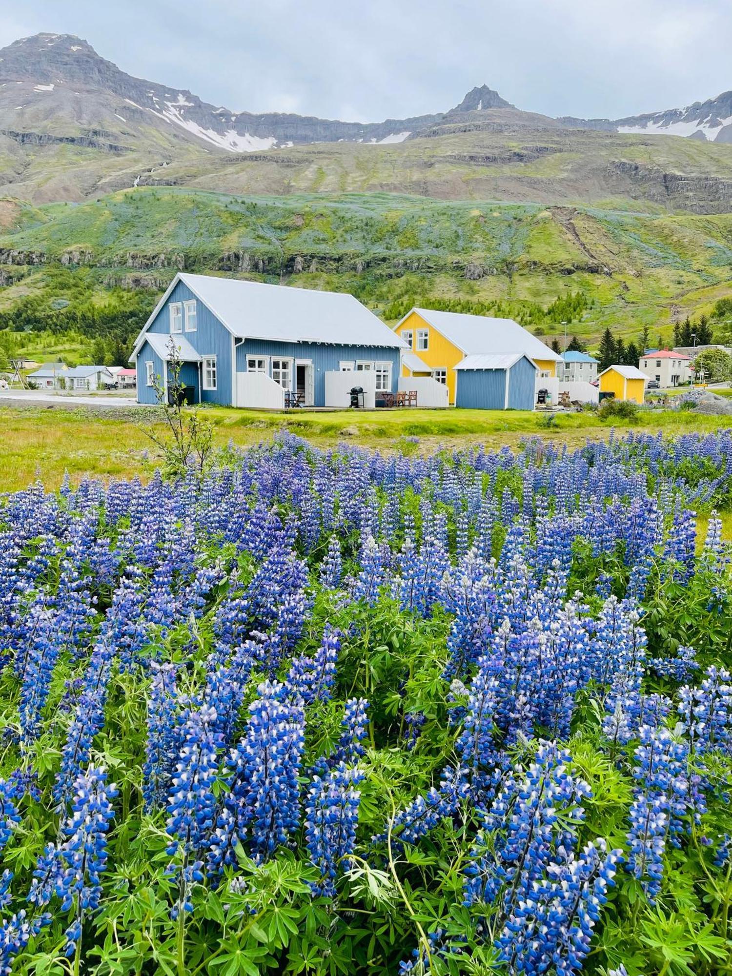 Lonsleira Apartments Seyðisfjörður エクステリア 写真