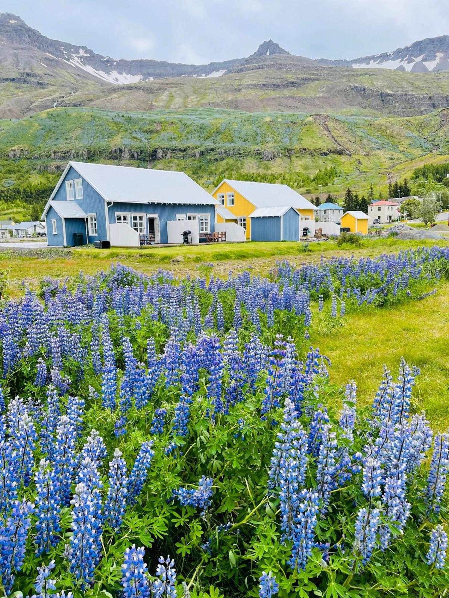 Lonsleira Apartments Seyðisfjörður エクステリア 写真